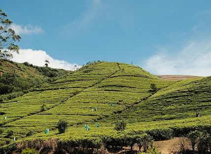 <h5>A 7-Day Adventure Across<br />
<em>Sri Lanka </em></h5>
